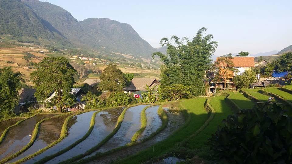 Ta Van Green Hills Homestay Sapa Eksteriør billede