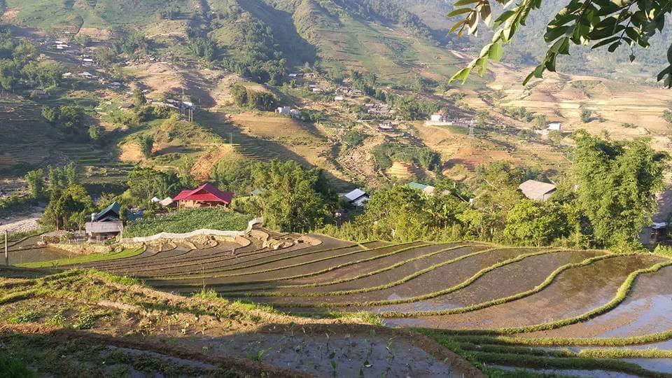 Ta Van Green Hills Homestay Sapa Eksteriør billede