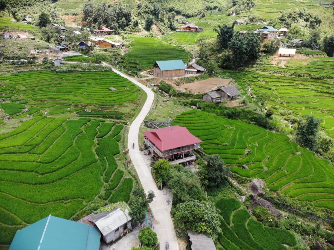 Ta Van Green Hills Homestay Sapa Eksteriør billede