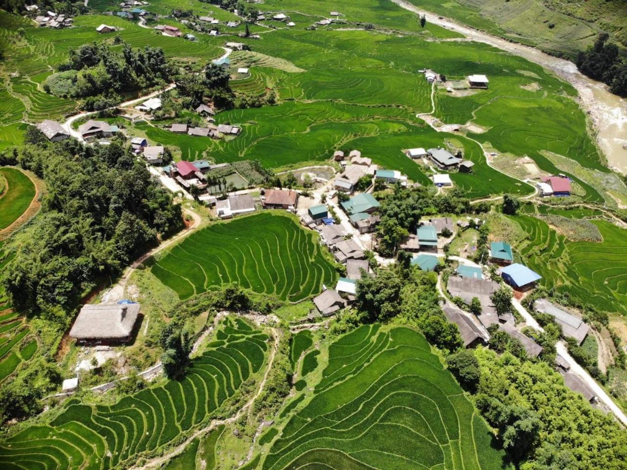 Ta Van Green Hills Homestay Sapa Eksteriør billede