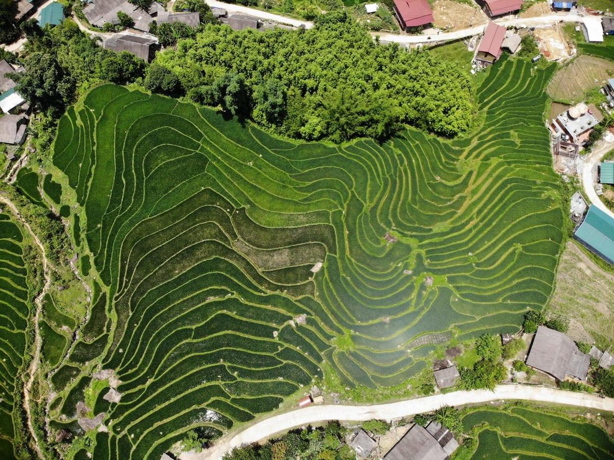 Ta Van Green Hills Homestay Sapa Eksteriør billede