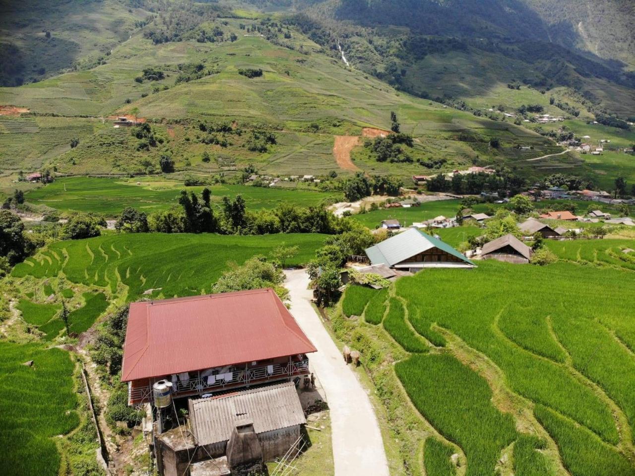 Ta Van Green Hills Homestay Sapa Eksteriør billede